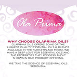 Ola Prima Oils 16oz - Patchouli Essential Oil - 16 Fluid Ounces