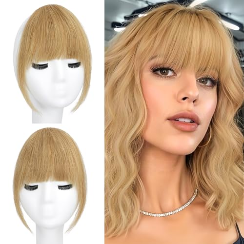 BOGSEA Clip in Bangs 100% Human Hair Bangs with Temples Bangs Hairpieces for Women Clip in Fake Bangs for Daily Wear (18#, French Bangs)