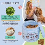 Natural Dog Company Probiotic Chews for Dogs (90 Bites), Chicken Flavor, Helps with Digestion & Gut Health Supports Immune System, Probiotics Supplement for Dogs of All Ages, Sizes & Breeds.