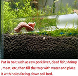 2 pcs Glass 2 Pieces Planaria Trap 3-Holes Glass Snail Catcher For Aquarium Cherry Shrimp Crystal Red Shrimp Dwarf Shrimp Trap