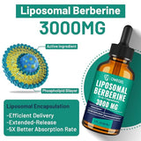 Berberine Supplement 3000mg - Liposomal Berberine HCL Liquid Drops - 12 in 1 Natural Ingredients with Premium Berberine HCL, Ceylon Cinnamon, Bitter Melon, Green Tea Extract, Turmeric & More - 4 Fl Oz