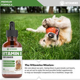 Vitamin E for Dogs | Vitamin E Dog | Vitamin E for Dog | Dog Vitamins E | Vitamin E Canine | Vitamin E Supplement for Dogs | Vitamin E Oil Dog | Dog Vitamins | Dog Immune Support | 1 fl oz