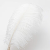 Ballinger White Large Ostrich Feathers - 12Pcs 14-16inch Large Feathers for Vase,Wedding Party Centerpieces and Christmas Home Decor