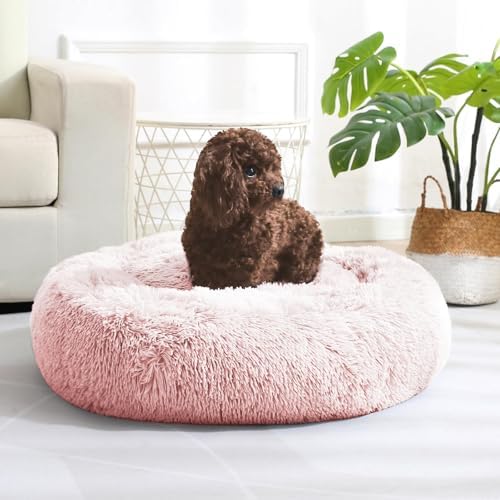 JOLLYVOGUE Dog & Cat Bed, Calming Anti-Anxiety Pet Bed for Small Dogs, Fluffy Donut Cushion for Small and Medium Pets (24")
