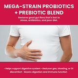 Mega-Strain 50B CFU Probiotics + Prebiotics 30 Caps – Probiotics for Women & Men to Help Maintain Good Flora Probiotic & Digestive Health - No Refrigeration Required Probiotics Lactobacillus Rhamnosus