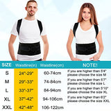 Back Brace Posture Corrector for Women and Men - Relief for Waist, Back and Shoulder Pain - Adjustable and Breathable Posture Back Brace - Improve Back Posture and Provide Lumbar Support S(24"-29")