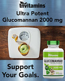 tnvitamins Glucomannan Capsules 2000 MG - 250 Count | Natural Konjac Root Fiber Extract Powder Supplement | Soluble, Dietary, & Digestive Fiber Pills | Produced in The USA | Non-GMO & Gluten Free