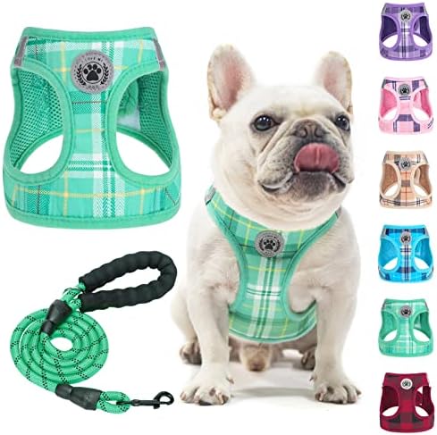 BEAUTYZOO Small Dog Harness and Leash Set,Step in No Chock No Pull Soft Mesh Dog Harnesses Reflective for Extra-Small/Small Medium Puppy Dogs and Cats, Plaid Dog Vest Harness for XS S Pets,Turquoise M