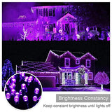 weillsnow Purple Halloween Lights, 200 LED 66Ft Plug in Waterproof Halloween Lights, 8 Modes with Memory for Outdoor Indoor Garden Tree Patio Irish Christmas Decorations (66FT, Purple)