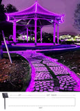 Brightown Solar String Lights Outdoor, 39FT 100 LED Halloween Solar String Lights with 8 Modes, Halloween Decoration Outdoor, Waterproof Solar Rope Lights for Outside Tree Yard Christmas Party, Purple