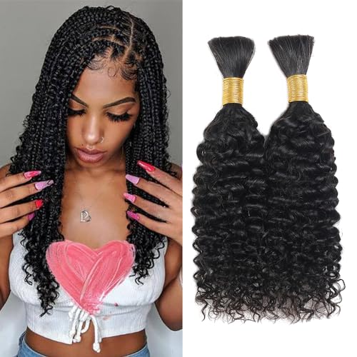 Curly Bulk Human Hair for Braiding No Weft Human Hair Bundles for Braiding Micro Wet and Wavy Human Braiding Hair for Box Boho Braids 100g with 2 Bundles (12 inch)