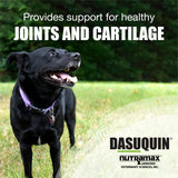 Dasuquin Soft Chews for Large Dogs 150ct