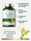 Carlyle St John's Wort Capsules | 4800mg | 300 Count | Non-GMO & Gluten Free Supplement | Standardized Extract