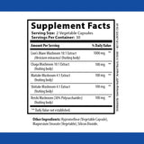 STONEHENGE HEALTH Dynamic Mushrooms - 100% Fruiting Bodies & Extracts - Lion’s Mane, Chaga, Maitake, Shiitake, Reishi - Nootropic Brain & Immune System Support - No Mycelium - 60 Veggie Capsules