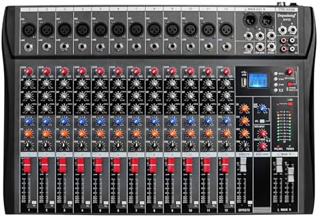 Depensheng DX12 DJ Sound Controller Interface w/USB Drive for Computer Recording 12-Channel Studio Audio Mixer - XLR Microphone Jack, 48V Power, RCA Input/Output for Professional and Beginners