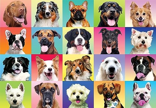 JOYIN 300 pcs Multicolor Dogs Puzzles, Jigsaw Puzzle for Kids and Adults(29" x 21"), Puppy Theme Puzzles for Teens, Collection Gift Home Art Decor
