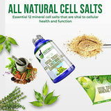 Total Tissue Cell Salt Mineral Combination, 300 pellets, Helps Your Body Absorb and Use Nutrients, Helps Increases Energy Levels, Helps Improves Sleep Patterns, Overall Health and Vitality, Bio 28