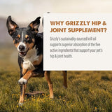 GRIZZLY PET PRODUCTS Joint Aid for Dogs Liquid Hip and Joint Support (Extra Strength), 16 fl oz