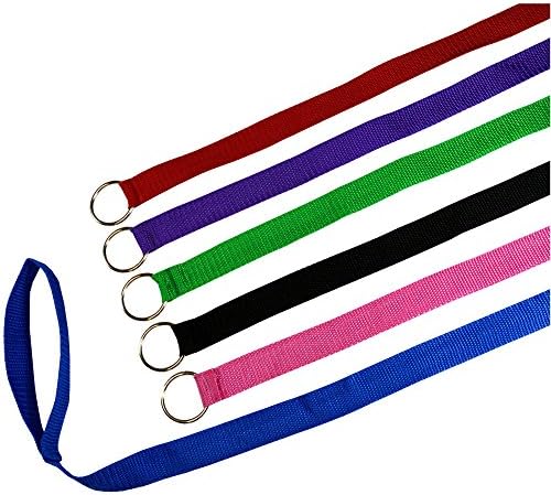 Downtown Pet Supply - 6ft Dog Kennel Slip Lead Dog Leash - Veterinarian, Dog Grooming, Daycare & Animal Rescue Dog Supplies - One Size Leads for Dogs Bulk - 1" Thick 6 Pack
