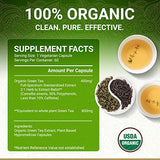 Organic Green Tea Extract Capsules – USDA Organic Certified | 60 Green Tea Capsules | Green Tea Pills | EGCG Green Tea Extract | 50% Polyphenols EGCG Supplements