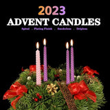 10 inch Christmas Advent Candles Set of 4 | Elegant Long Candle Sticks | Ture Dripless Taper Candles | 3 Purple 1 Pink Packs