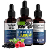 MaxImmunity Organic Elderberry Syrup, 60 Day Supply, Black Liquid Drops for Immune Support, Sambucus Elderberry Syrup - Liquid Extract Drops for Kids & Adults - Extra Strength (2 Pack)