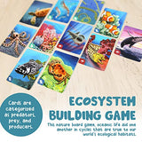 Genius Games Ecosystem: Coral Reef - A Mensa Recommended Family Card Game About Aquatic Animals, Their Habitats & Food Chain | A Light Educational Marine Biology Board Game for Kids and Families