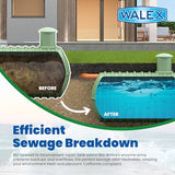 Walex Bio-Active Home Residential Septic Tank Treatment Beneficial Enzymes, Waste and Paper Digesting Additives Tabs, 1 Year Supply, 12 Treatments