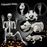 Lodou 5.4Ft Posable Life Size Human Adult Skeletons Plastic Human Bones with Movable Joints for Halloween Decoration