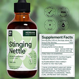 Stinging Nettle Leaf and Root 4 fl oz Liquid Extract - Natural Urinary & Kidney Support for Man and Woman - Organic Urtica Dioica - High Potency Herbal Supplement - 90-Day Supply