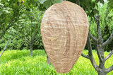 2 Pack Wasp Nest Decoy Waterproof Terylene Natural Wasp Repellent Hanging Wasp Deterrent Yellow Jackets Hornet Fake Wasp Nest Bee Nest for Home Garden Patio Outdoors