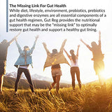 BioTrust Gut Reg Supports a Healthy Gut Lining, Helps Restore Gut Health and Helps Relieve Occasional GI Discomfort with PepZin GI, L-Glutamine and Ginger Extract, Non-GMO, Gluten-Free (60 Capsules)
