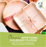 KoalaLove Palm Leaf Plates Bamboo Plates Disposable Square 8 inch 100 Bulk Party Pack Elegant Sturdy Design Better Than Paper and Plastic Plates (KoalaLove-PLP-8IN-100-Plates)