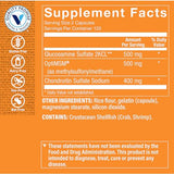 The Vitamin Shoppe Glucosamine, Chondroitin, MSM (240 Capsules)