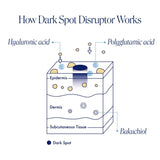 Dark Spot Disruptor, Discoloration Correcting Serum, Fade dark spots for even-looking skin