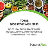 Natures Plus GI Natural Total Digestive Wellness - 90 Bi-Layered Tablets, Pack of 2 - with L-Glutamine, Probiotics, Prebiotics & Enzymes - Gluten Free - 60 Total Servings