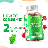 Vitamatic 2 Pack Irish Sea Moss Gummies - 3000 mg - 60 Vegan Gummies - Made with Bladderwrack & Burdock Root - Seamoss Supplement for Thyroid, Energy, Immune Support