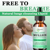 JINGYAT Mullein Drops for Lungs | Powerful Mullein Leaf Extract with Chlorophyll, Vitamin C, Cinnamon for Immune Support, Detox & Respiratory Support, Bronchial Support | Non-GMO, Kosher, Gluten-Free