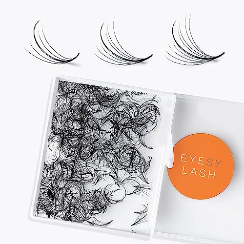 500 Wispy Promade Fans - 9D 0.05 Size 11mm Curl D - Natural Wispy Lashes Handmade Premade Lash Fans for Eyelash Extensions Soft Volume Lashes Wispy for Spiky Wispy Natural Lash Look