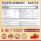 Berberine Supplement 1500mg with Soluble Fiber, B1, B3 & B6, Sugar Free Berberine HCL Gummies, High Bioavailability AMPK Activitor for Metabolism Balanced, Daily Digestive & Body Management, 60 Cts