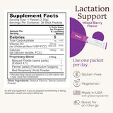 Premama Lactation Supplement, Dietary Support, Support Healthy Breast Milk, Essential Nutrients for Nursing Moms, Gluten-Free, Vegetarian, Mixed Berry Drink Mix, 28 Single-serve Packets