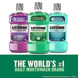 Listerine Freshburst Antiseptic Mouthwash for Bad Breath, Kills 99% of Germs That Cause Bad Breath & Fight Plaque & Gingivitis, ADA Accepted Mouthwash, Spearmint, 1 L, Pack of 2