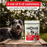 Dinovite Dog Probiotics for Medium-Sized Dogs – Supports Hot Spot Relief, Promotes a Healthy Immune System, Essential Vitamins for Digestive Health – 90-Day Supply for Dogs 18-45 lbs