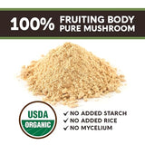 Longevity Botanicals - Wildcrafted Agarikon Mushroom Powder - Ultra Concentrated Agarikon Mushroom Supplement - Promotes a Balanced Immune System - 100% Fruiting Body - 100 Grams -