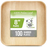 KoalaLove Palm Leaf Plates Bamboo Plates Disposable Square 8 inch 100 Bulk Party Pack Elegant Sturdy Design Better Than Paper and Plastic Plates (KoalaLove-PLP-8IN-100-Plates)