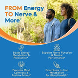 Surebounty 8-in-1 Complete B Complex, All 8 B Vitamins, B12, B1, B2, B3, B5, B6, B9, Biotin, Folate, Methylated & Body-Ready Forms, Energy, Nerve, Blood Support, 60 Caps