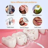 Water Flosser, Teeth Cleaner 330ML 3 Modes Portable Dental Oral Irrigator USB Rechargeable Electric Dental Flosser for Teeth Braces Bridges Care Home Travel