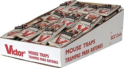 Metal Pedal Mouse Trap, 2-Pk.