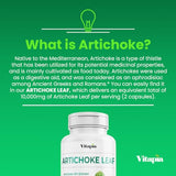 Vitapia Organic Artichoke Leaf Extract 10,000mg for Healthy Digestion, Liver Health & Functions, Antioxidant Support - 10:1 Ratio & 60 Veggie Capsules - Non-GMO, Gluten-Free, Vegan-Friendly