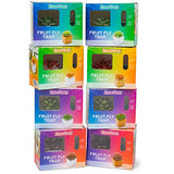 ZendoZones® Fruit Fly Trap 2 Pack, 1 ea of Mellow Molly & Serene Sandy Terra Cotta Base
